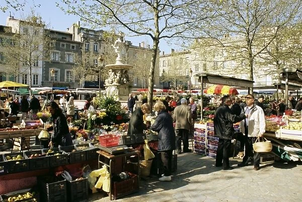 Saturday market, Ville Basse, Carcassonne, Aude, Languedoc, France, Europe