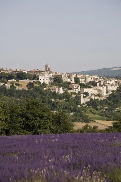 Sault en Provence, Vaucluse, Provence, France, Europe