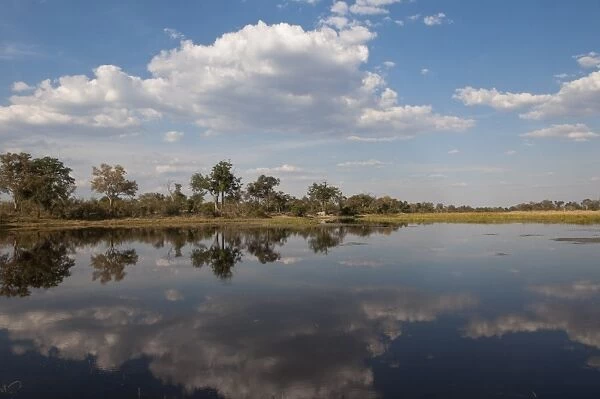 Savute Channel, Linyanti, Botswana, Africa