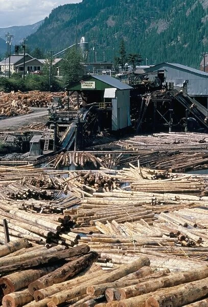 Sawmill, British Columbia, Canada, North America