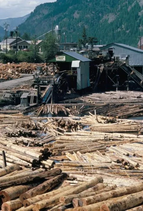 Framed Print : Sawmill, British Columbia, Canada, North America Framed Print : Sawmill, British Columbia, Canada, North America