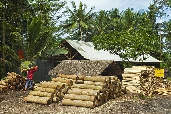 Sawn tree trunks at lumber yard in this rural district near Pangandaran on the south coast, Cijulang, West Java, Java, Indonesia, Southeast Asia, Asia