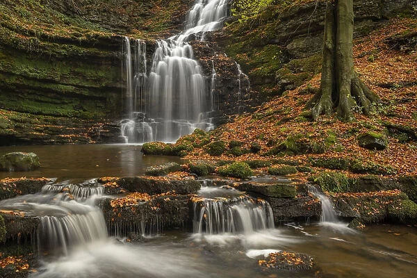 Scaleber Force waterfall in autumn, Yorkshire Dales National Park, Yorkshire, England