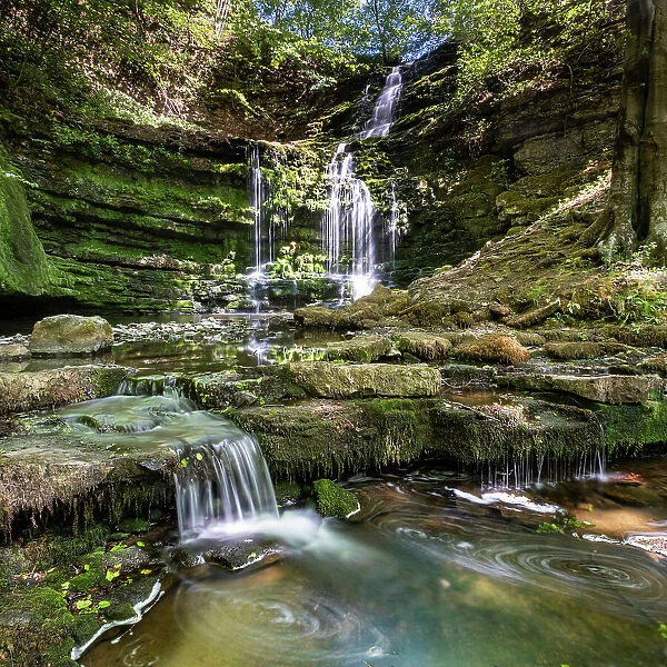 Scaleber Force Waterfall, near Settle, Yorkshire Dales National Park, Yorkshire, England, United Kingdom, Europe