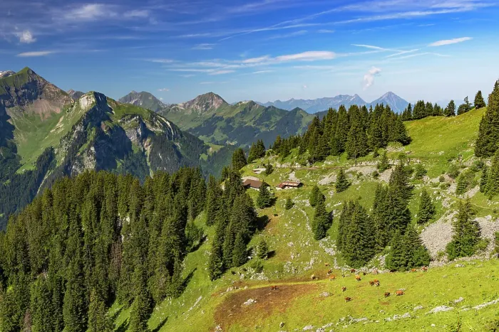 Framed Print : Scenery of cogwheel railway, Schynige Platte, Jungfrau Region, Bernese Oberland, Switzerland