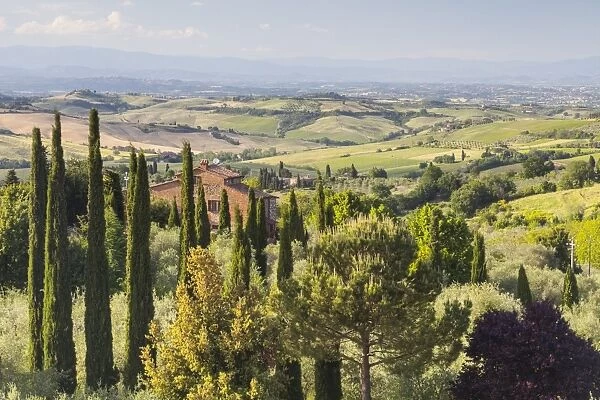 Scenery near to Montepulciano, Val d Orcia, UNESCO World Heritage Site, Tuscany, Italy, Europe