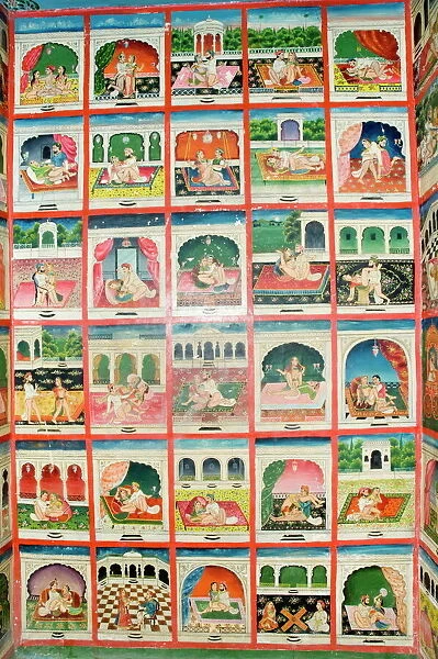 Scenes from the Kama Sutra in a cupboard in the Juna Mahal fort