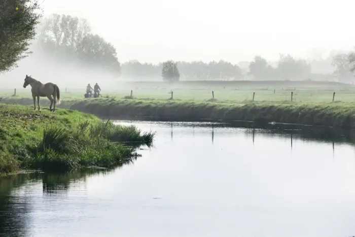 Framed Print : Scenic with mist, horse and two people cycling next to River Mark in autumn, Breda, North Brabant, The Netherlands (Holland), Europe Framed Print : Scenic with mist, horse and two people cycling next to River Mark in autumn, Breda, North Brabant, The Netherlands (Holland), Europe