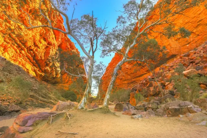 Framed Print : Scenic Simpsons Gap and permanent vegetation in West MacDonnell Ranges, near Alice Framed Print : Scenic Simpsons Gap and permanent vegetation in West MacDonnell Ranges, near Alice
