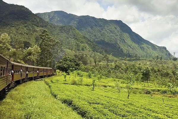 The scenic train ride through the Central Highlands, with its mountains