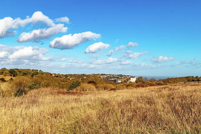 Framed Print : Scenic view of a dry grassland with scattered bushes under a blue sky with fluffy clouds, with a hint of a town in the distance, chalk cliffs on the Sussex coast, East Sussex, England, United Kingdom, Europe Framed Print : Scenic view of a dry grassland with scattered bushes under a blue sky with fluffy clouds, with a hint of a town in the distance, chalk cliffs on the Sussex coast, East Sussex, England, United Kingdom, Europe