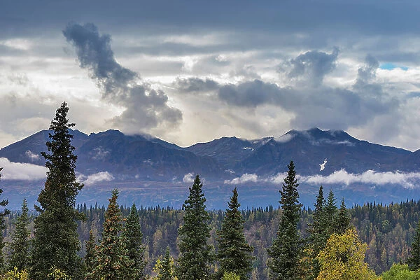Scenic view of forest and mountains, Denali National Park and Preserve, Alaska, United States of America, North America
