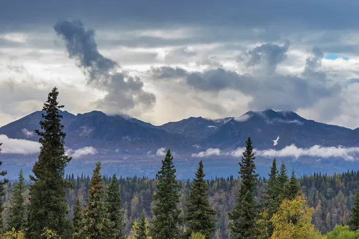 Framed Print : Scenic view of forest and mountains, Denali National Park and Preserve, Alaska, United States of America, North America Framed Print : Scenic view of forest and mountains, Denali National Park and Preserve, Alaska, United States of America, North America