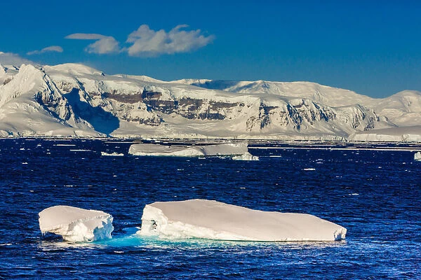 Scenic view of the glacial ice and floating icebergs in Antarctica