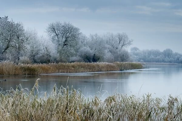 A scenic view shows frosty conditions at Cotswold Water Park, Gloucestershire, England, United Kingdom, Europe