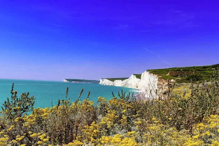 Framed Print : Scenic view of white cliffs by the sea with vibrant wildflowers in the foreground under a clear blue sky at Seven Sisters, South Downs National Park, East Sussex, England, United Kingdom, Europe Framed Print : Scenic view of white cliffs by the sea with vibrant wildflowers in the foreground under a clear blue sky at Seven Sisters, South Downs National Park, East Sussex, England, United Kingdom, Europe