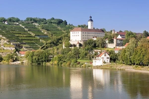 Schloss Horneck Castle, Gundelsheim, Neckartal Valley, Neckar River, Baden Wurttemberg, Germany, Europe
