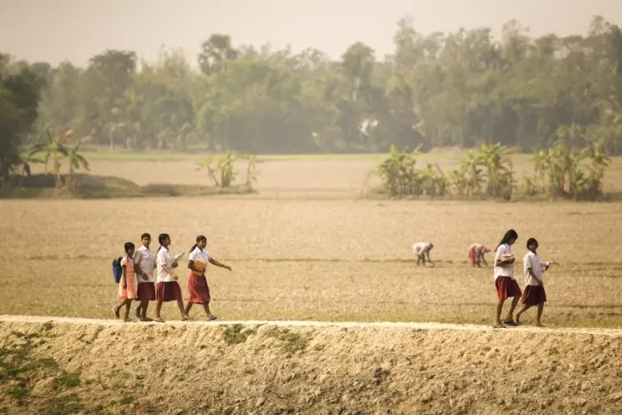 Framed Print : Schoolgirls walk along a dyke on the edge of the Sunderbans (Sundarbans) National Park Framed Print : Schoolgirls walk along a dyke on the edge of the Sunderbans (Sundarbans) National Park