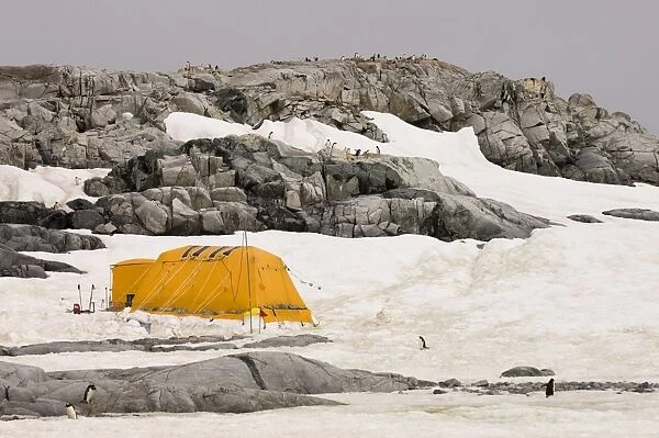 Scientists camp, Petermann Island, Lemaire Channel, Antarctic Peninsula