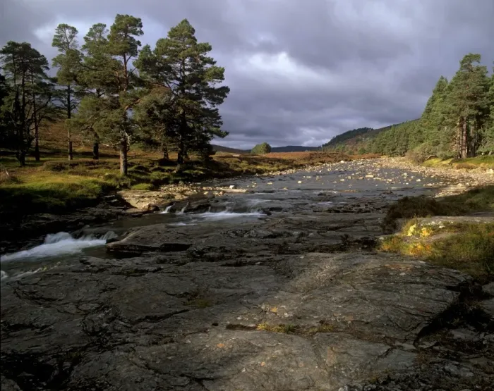 Framed Print : Scots pines and Upper Dee valley near Inverey Framed Print : Scots pines and Upper Dee valley near Inverey