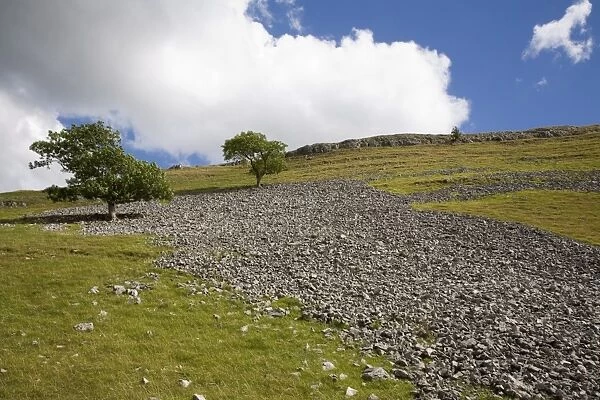 Scree slope and limestone vale, near Conistone, Yorkshire Dales National Park