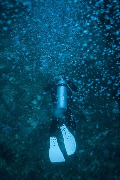 Scuba diver underwater, Thailand, Andaman Sea, Indian Ocean, Asia