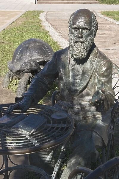 Sculpture of Darwin