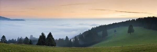 Sea of fog, view from Schauinsland Mountain, Black Forest, Baden Wurttemberg, Germany, Europe