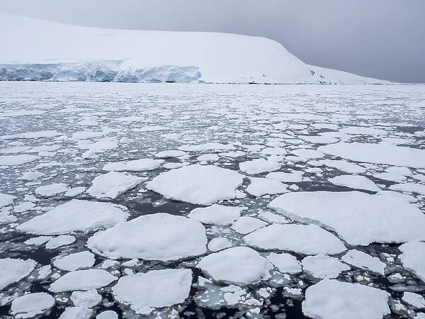 Sea ice forming as the temperature drops near Pleneau Island, Antarctica, Polar Regions