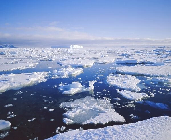 Sea ice and iceberg, Antarctica