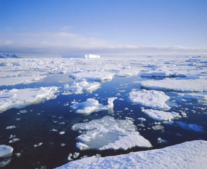 Framed Print : Sea ice and iceberg, Antarctica Framed Print : Sea ice and iceberg, Antarctica