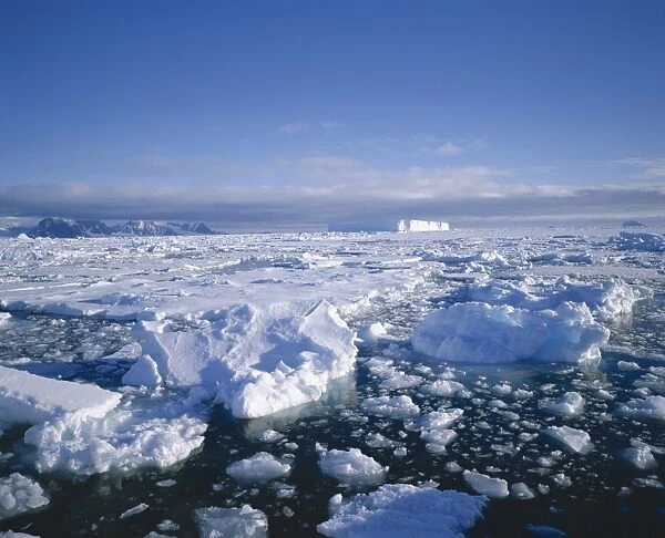 Sea ice and iceberg, Antarctica, Polar Regions