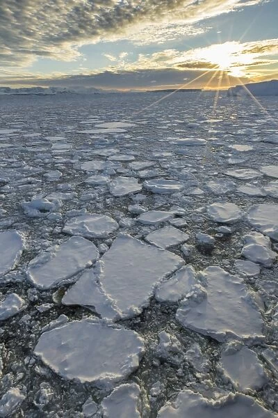 Sea ice mixed with brash ice near Pleneau Island, western side of the Antarctic Peninsula, Southern Ocean, Polar Regions