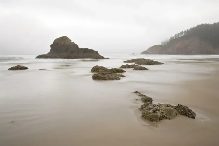 Framed Print : Sea stacks on a foggy morning Framed Print : Sea stacks on a foggy morning