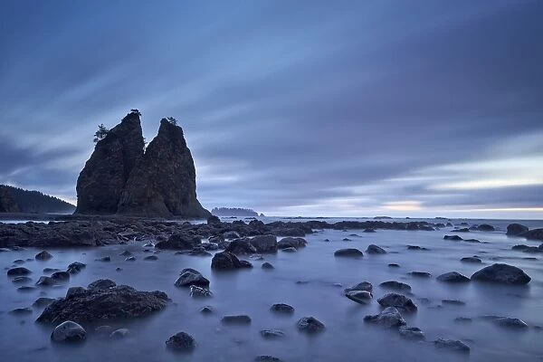 Sea stacks and rocks, Rialto Beach, Washington State, United States of America, North America