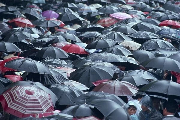 Sea of umbrellas, Shanghai, China, Asia