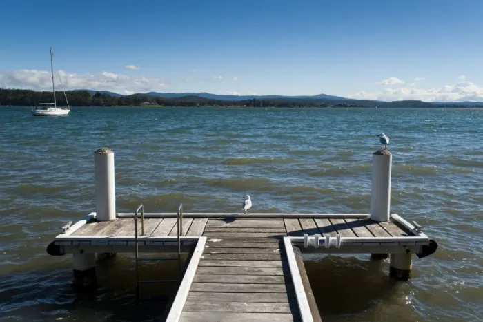 Framed Print : Seagulls on the dock, Lake Macquarie, New South Wales, Australia, Pacific