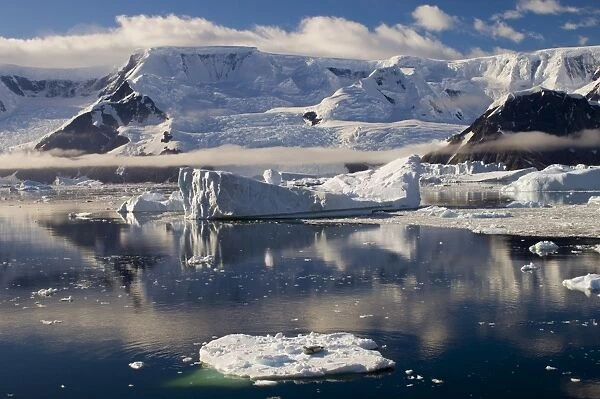 Seal on the small iceberg on foreground, Gerlache Strait, Antarctic Peninsula