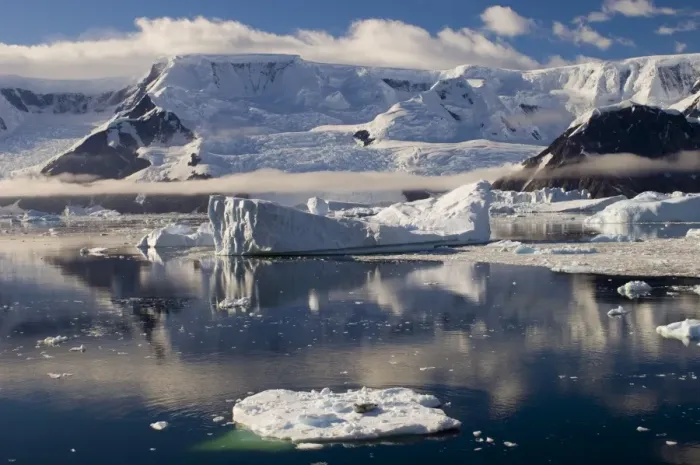 Framed Print : Seal on the small iceberg on foreground, Gerlache Strait, Antarctic Peninsula Framed Print : Seal on the small iceberg on foreground, Gerlache Strait, Antarctic Peninsula