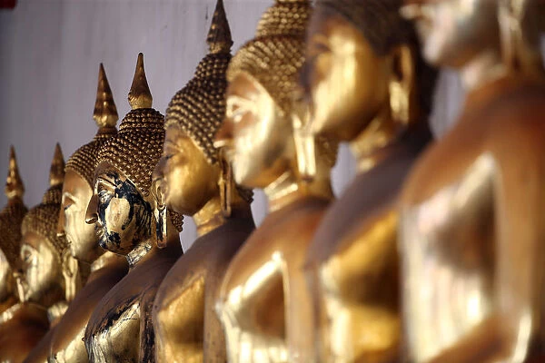 Seated Golden Buddha statues in a row at Wat Pho (Temple of the Reclining Buddha)