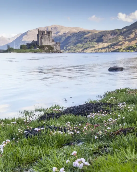 Framed Print : Seathrift flowers in front of Eilean Donan castle and Loch Duich, Highlands, Scotland, United Kingdom, Europe Framed Print : Seathrift flowers in front of Eilean Donan castle and Loch Duich, Highlands, Scotland, United Kingdom, Europe