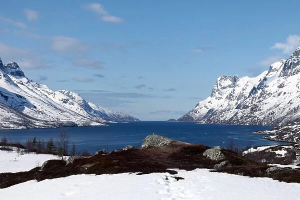 Seaward view from the top of Ersfjord, Kvaloya (Whale Island), Troms, arctic Norway, Scandinavia, Europe