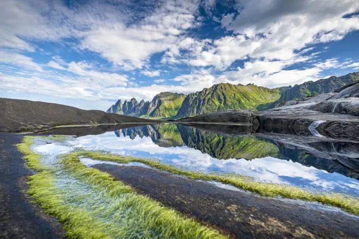 Framed Print : Seaweed on cliffs with mountains reflected in water in the background, Tungeneset, Senja Framed Print : Seaweed on cliffs with mountains reflected in water in the background, Tungeneset, Senja
