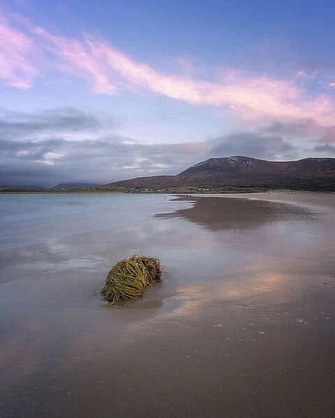 Seaweed washed up onto the beach at sunrise, Isle of Harris, Outer Hebrides, Scotland, United Kingdom, Europe
