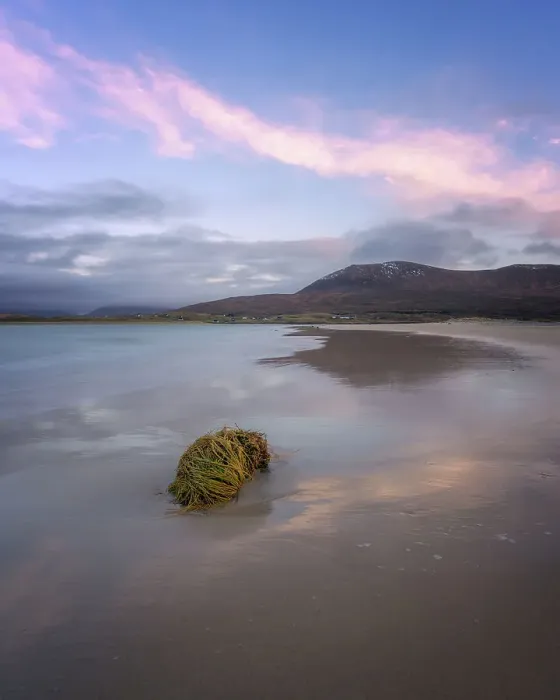 Framed Print : Seaweed washed up onto the beach at sunrise, Isle of Harris, Outer Hebrides, Scotland, United Kingdom, Europe Framed Print : Seaweed washed up onto the beach at sunrise, Isle of Harris, Outer Hebrides, Scotland, United Kingdom, Europe