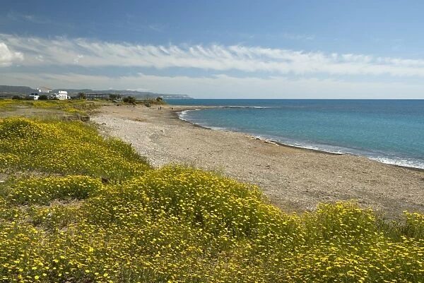 Secluded beach in spring, near Paphos, Cyprus, Mediterranean, Europe