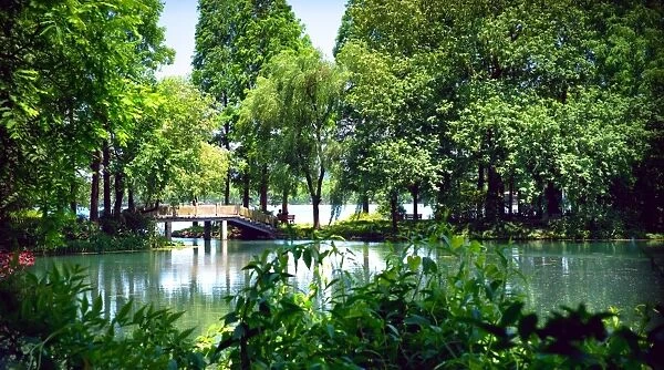 Secluded stone bridge surrounded by lush landscape at West Lake, Hangzhou, Zhejiang
