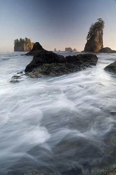 Second Beach, Olympic National Park, UNESCO World Heritage Site, Washington, United States of America, North America