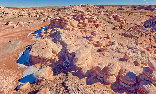 A section of Petrified Forest National Park called Angel Garden