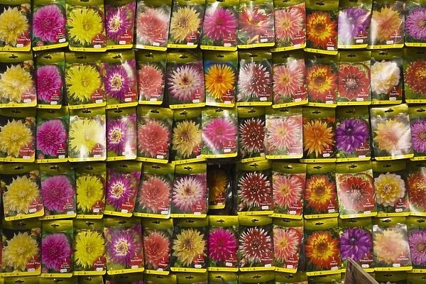 Seed packets, Bloemenmarkt (flower market), Amsterdam, Netherlands, Europe